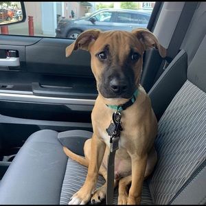 Meet your Posher, Joe